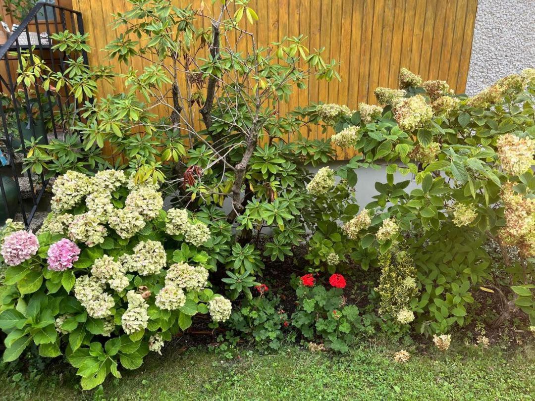 Marinela'S Bnb Vienna Luaran gambar